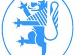 pompieri locarno