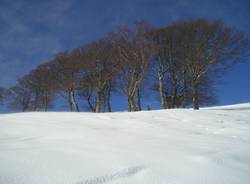 Svizzera in ciaspole