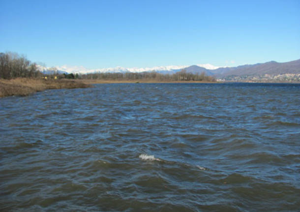 lago varese dicembre 2010