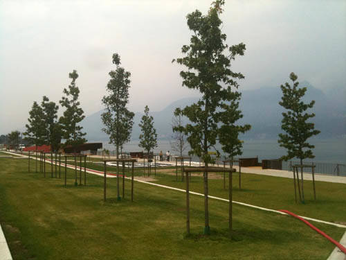 parco lungolago luino giugno 2011