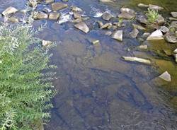 torrente margorabbia galleria (per gallerie fotografiche)