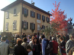 Festa della Zucca ad Agra (inserita in galleria)