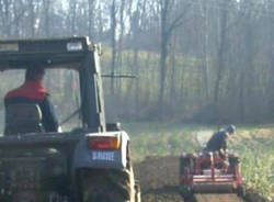 broggini crugnola agricoltura agricoltori