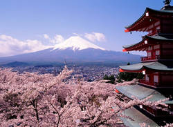 La fioritura dei ciliegi in Giappone (inserita in galleria)