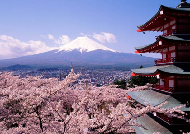 La fioritura dei ciliegi in Giappone (inserita in galleria)