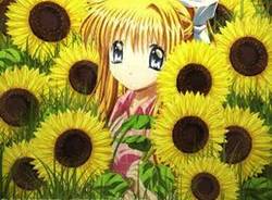 Manga, che passione! (inserita in galleria)