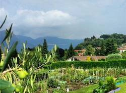 Brezzo di Bedero: i luoghi (inserita in galleria)