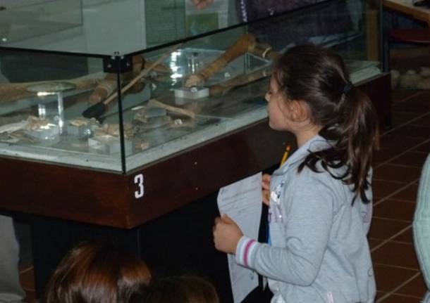 Il Museo Archeologico di Angera (inserita in galleria)