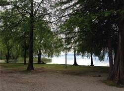 Monvalle al voto (inserita in galleria)