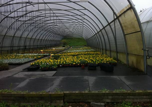 serra bardello lago si biandronno sumenzat