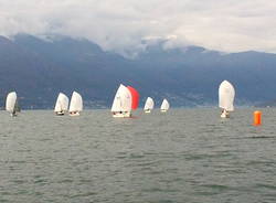 regata velica vela classe meteor luino 2014