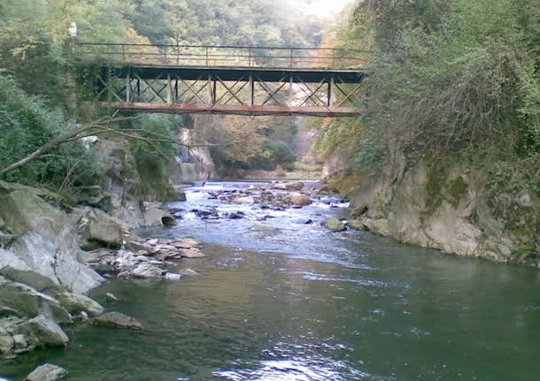 diga creva autostrada pesci