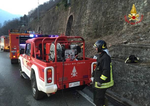 Incendio nei boschi, Vigili del Fuoco al lavoro per ore