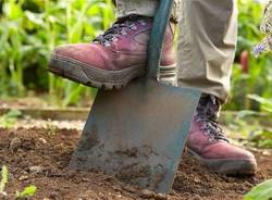 Giardinaggio generiche