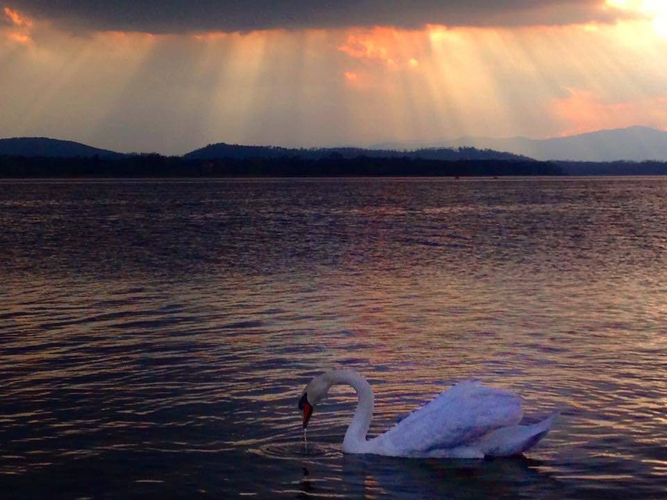 Oggi nel varesotto, le vostre foto pasquali