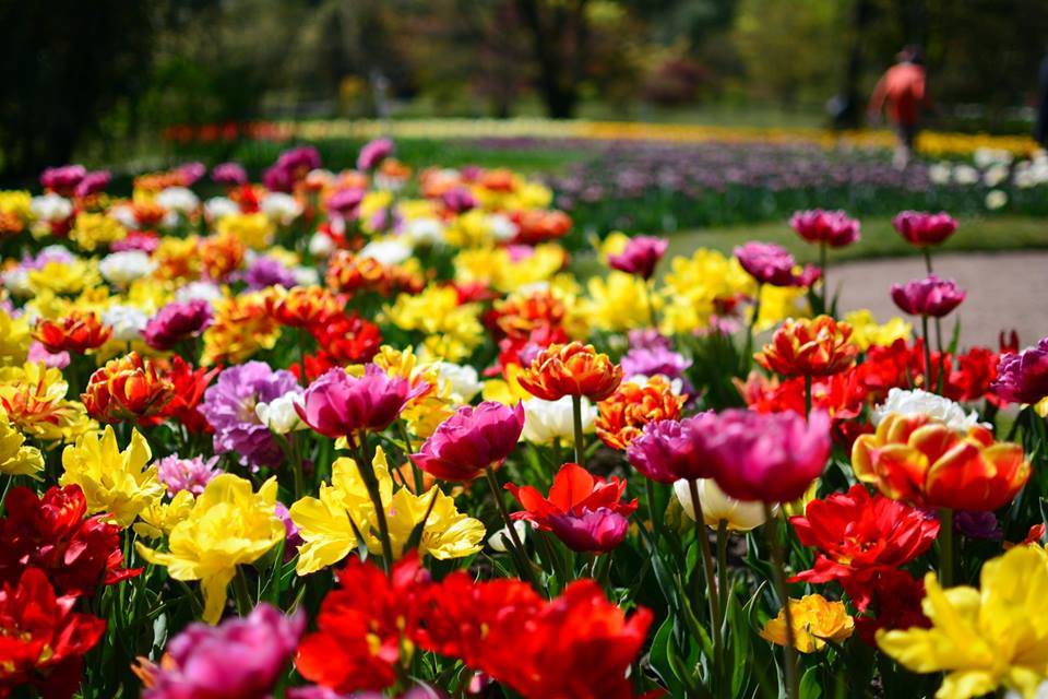 Tupilani a villa Taranto