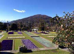Villa Taranto a Verbania
