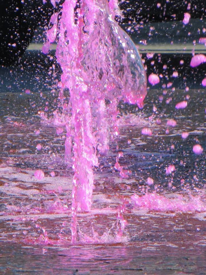 Giro 2015 - La corsa
