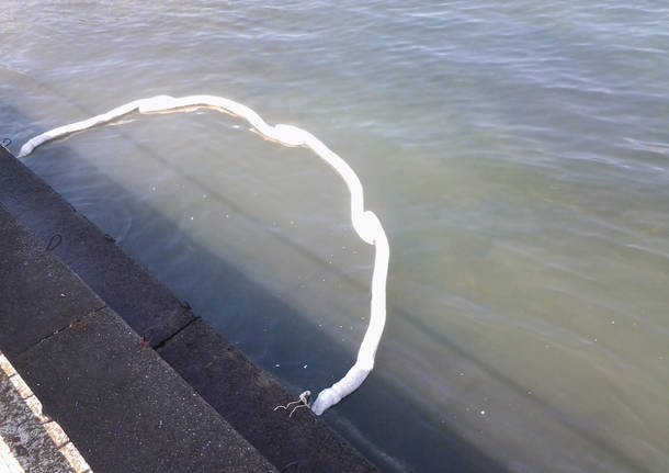 Polizia Provinciale in azione per lo scarico di Luino