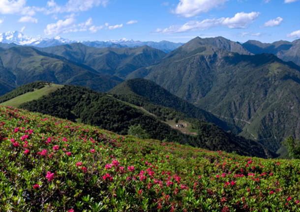 Bielmonte Outdoor Festival all'Oasi Zegna