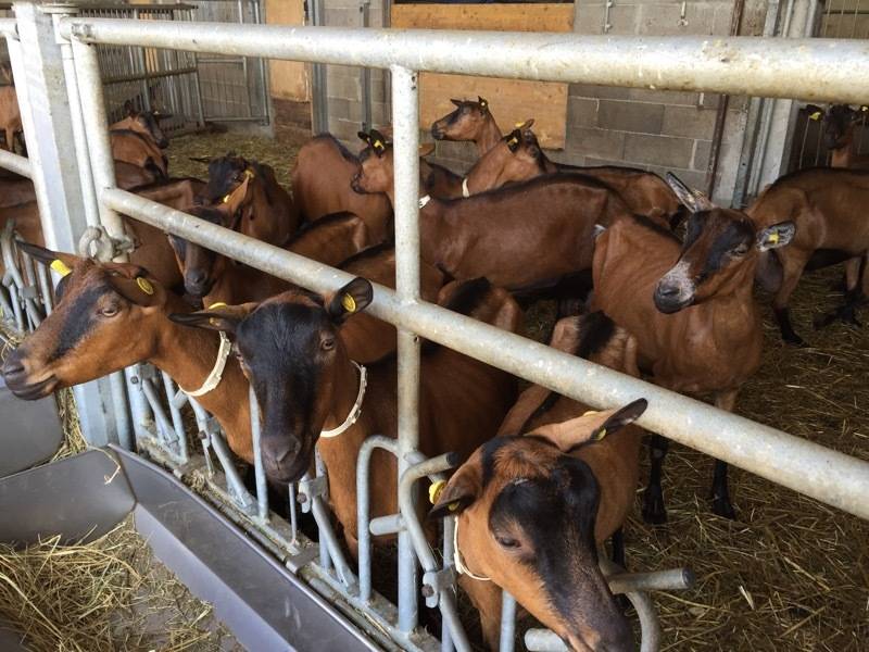 141tour brezzo di bedero