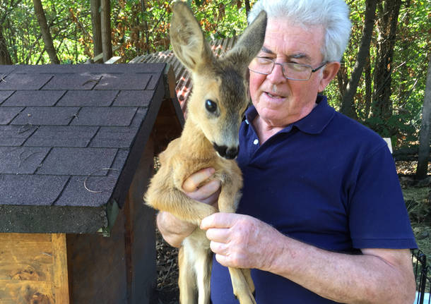 141Tour Brissago Valtravaglia