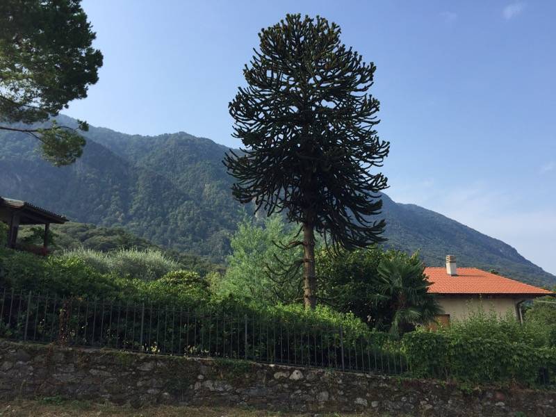 141Tour Castelveccana