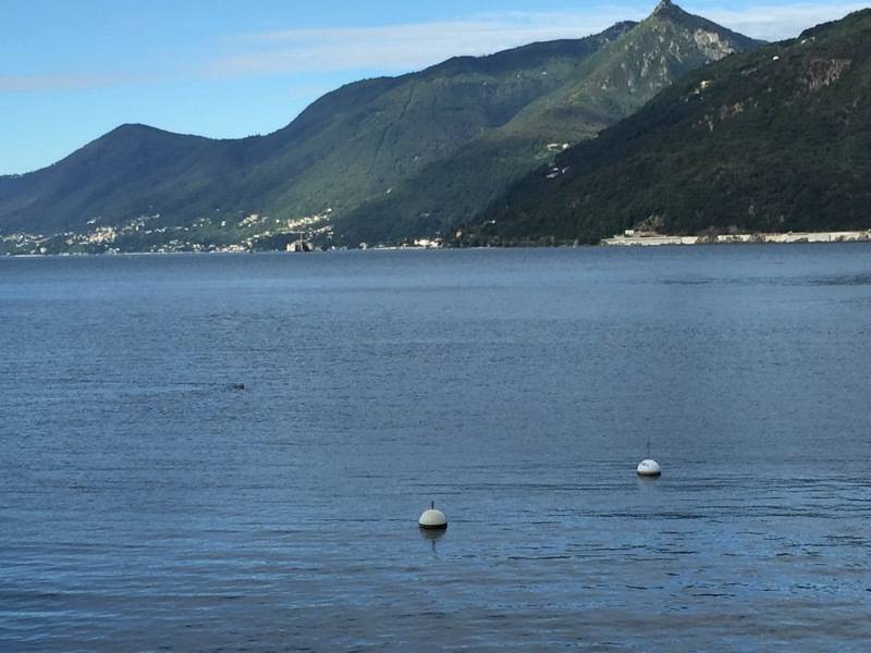 141tour Maccagno con Pino e Veddasca