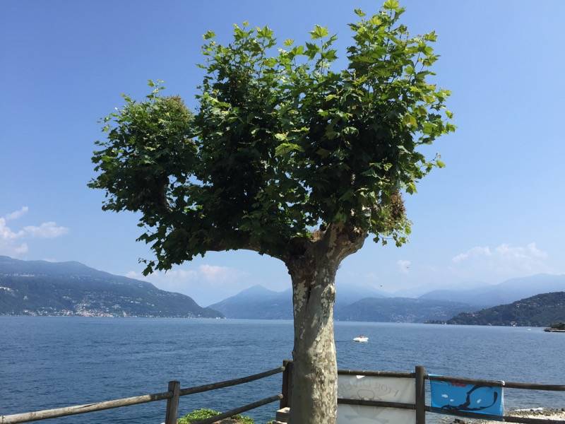 141Tour Porto Valtravaglia