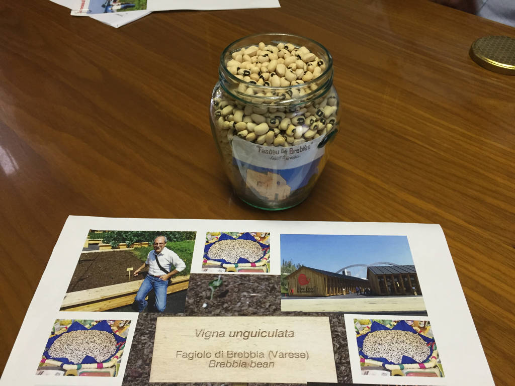 Fagioli di Brebbia