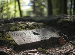 Gardens of Switzerland