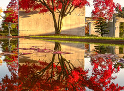 Gardens of Switzerland