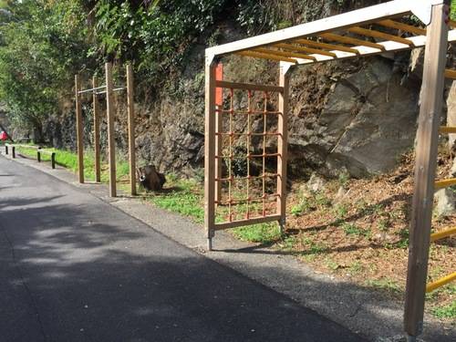 La palestra del Cai a Maccagno