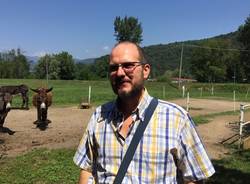 Le asine di Brezzo di Bedero