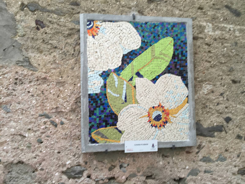 Mosaici a cadero, Maccagno