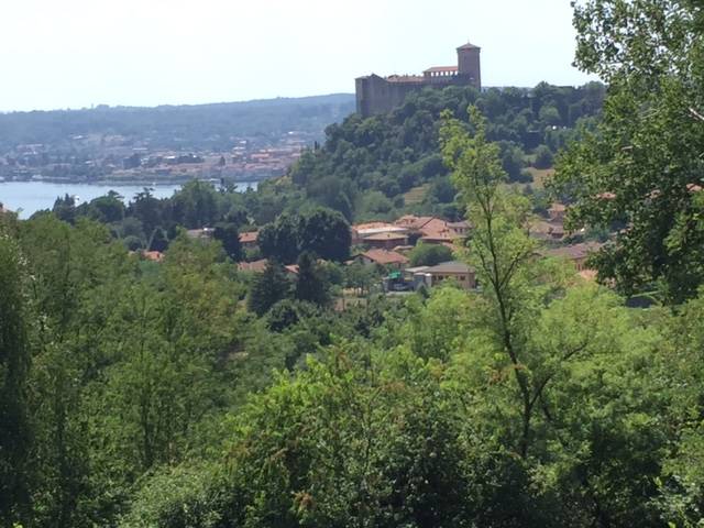 vino dei ronchi varesini