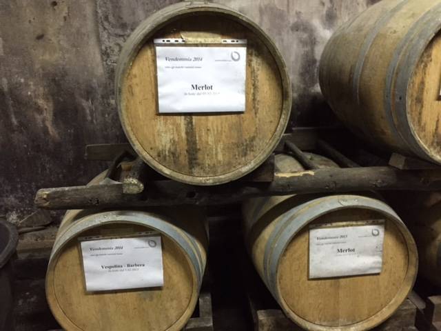 vino dei ronchi varesini