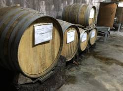 vino dei ronchi varesini