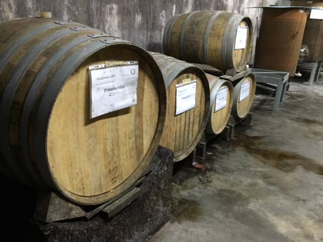 vino dei ronchi varesini