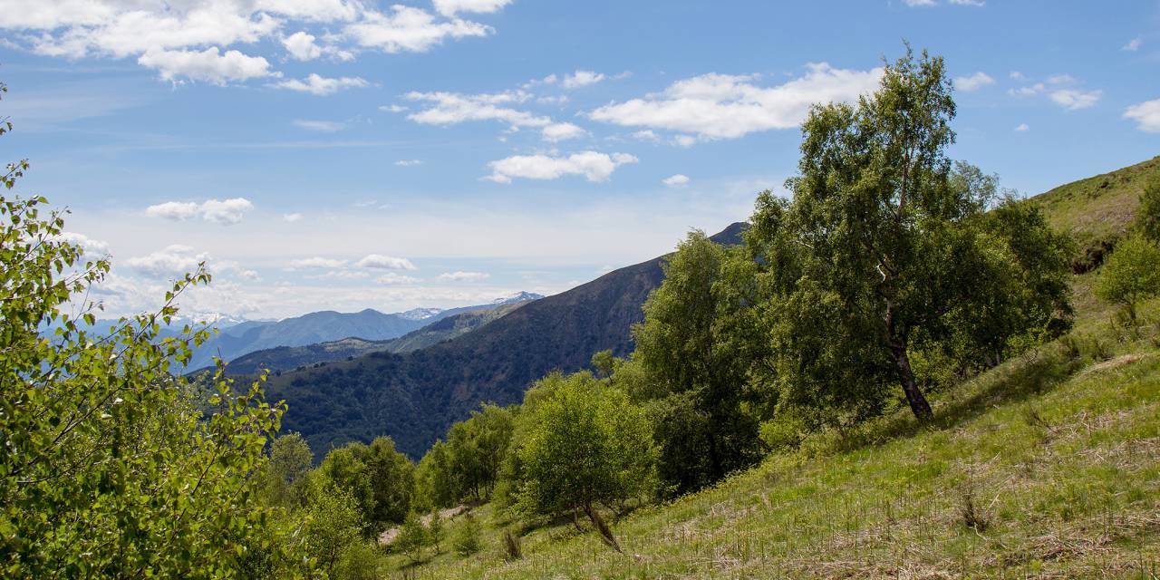 zip line lago maggiore