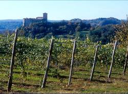 Pane fresco, ricetta archeologica