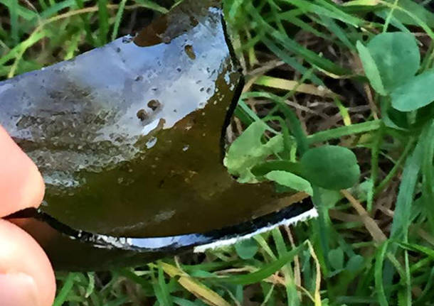 bottiglie vetri rotti parco