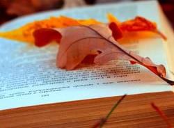 autunno letterario vedano olona