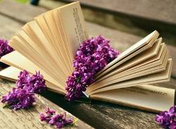 biblioteca barasso libro