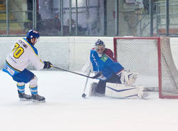 fontana hockey varese killer bees