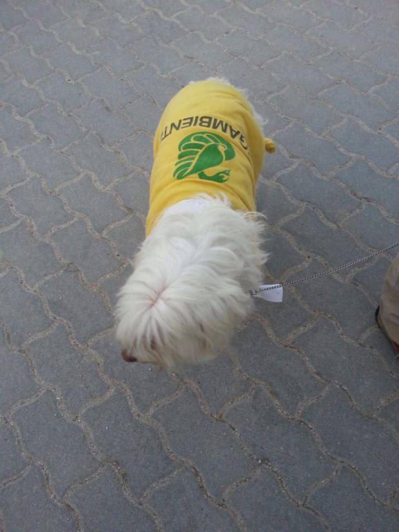 Marcia globale per il clima