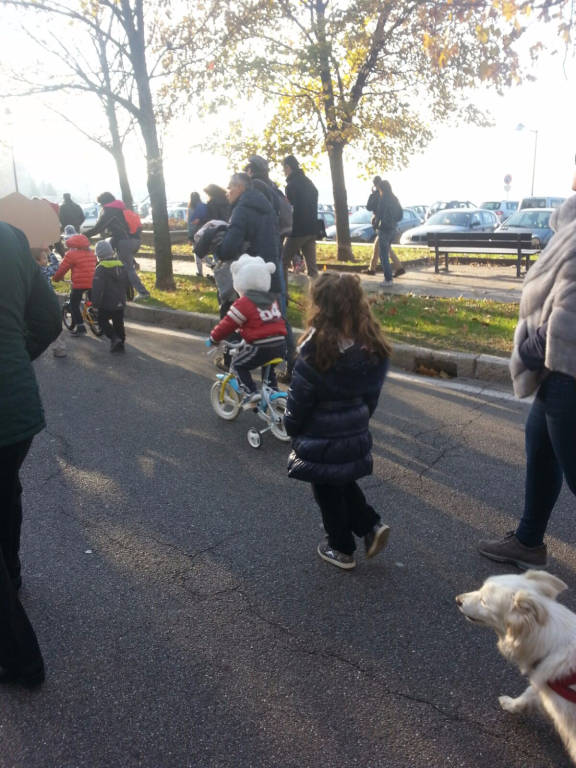 Marcia globale per il clima