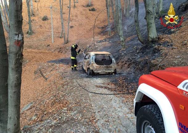 incendio forcora boschi