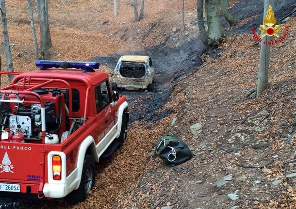 incendio forcora boschi
