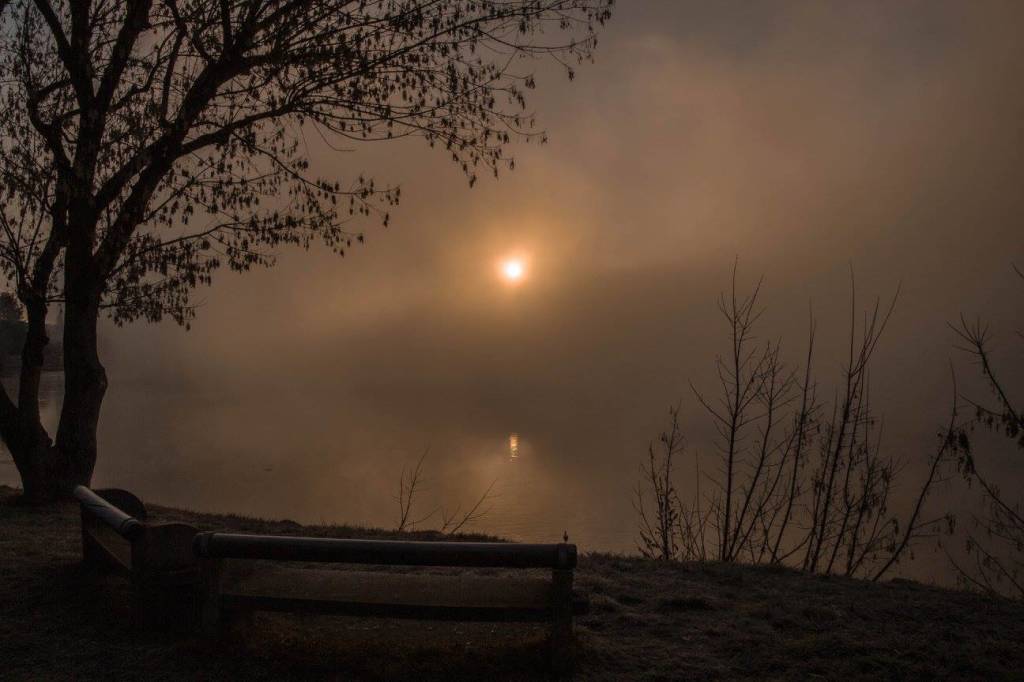 Nebbie nel varesotto